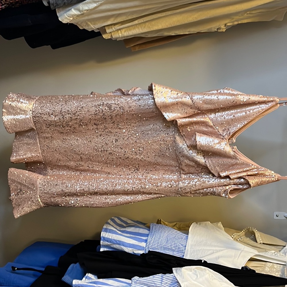 Lulu’s Sequin Dress